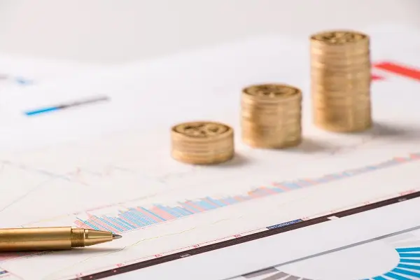 猫多久可以溜一次出去旅游